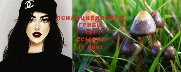 ECSTASY Медногорск