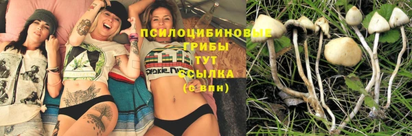 альфа пвп Инсар