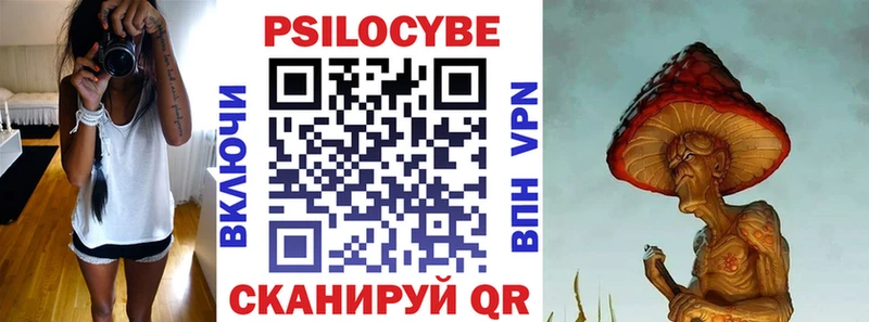 купить наркотик Каменка Галлюциногенные грибы Psilocybine cubensis