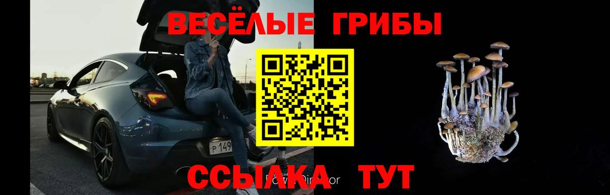 Каменка  Галлюциногенные грибы ЛСД  Вход с VPN  Галлюциногенные грибы GOLDEN TEACHER 